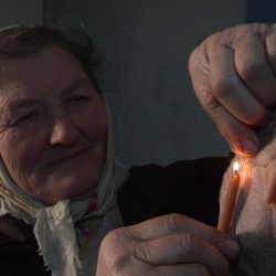У затишку білих акацій