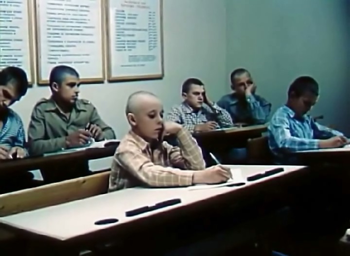 Смужка нескошених диких квітів