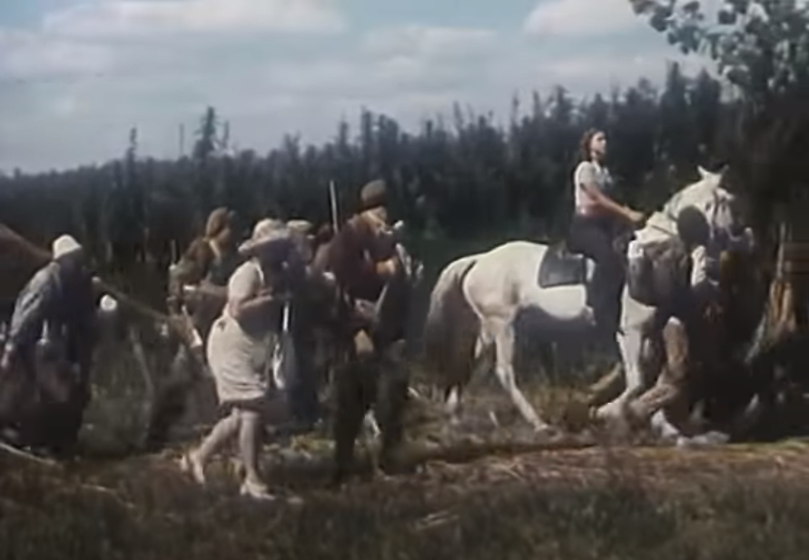 Ні пуху, ні пера