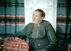 Гіркі барви зони