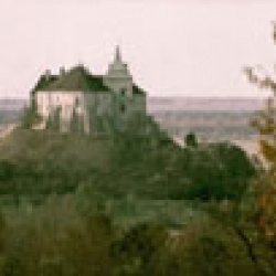 Замок в Олесько