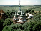 Густиня
