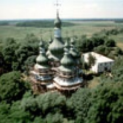 Густиня