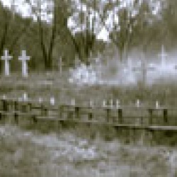 Під знаком біди