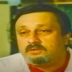 Бджоли і здоров'я людини