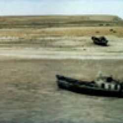 Арал-91