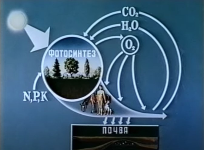 Біосфера - середовище життя. Екологічна рівновага