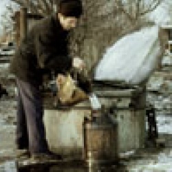 Екологія і армія