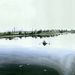 Чорнобиль. Азбука виживання
