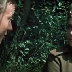 Очікування полковника Шалигіна