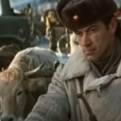 Від Бугу до Вісли