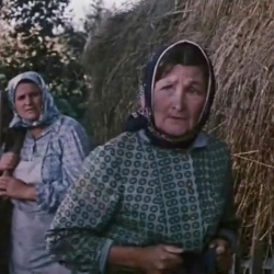 Секретар парткому