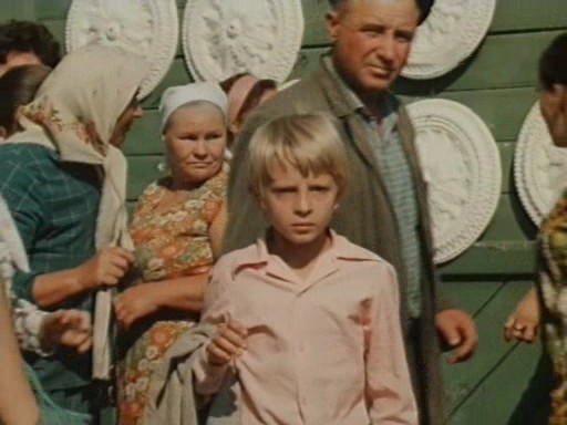 Червоний півень плімутрок