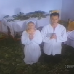 Народжені вище