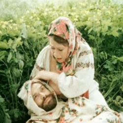 Ха-бі-аси