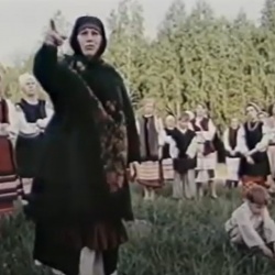 Кайдашева сім'я. Фільм перший