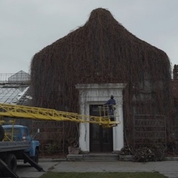 Історія зимового саду