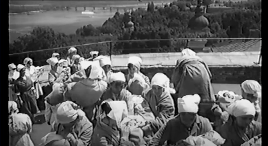 Денисія. Світи Володимира Денисенка