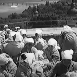 Денисія. Світи Володимира Денисенка