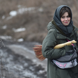 Сірі бджоли актриса Сірі бджоли актриса