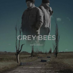 bilete-tiff-2024-albinele-cenusii-grey-bees@2x bilete-tiff-2024-albinele-cenusii-grey-bees@2x