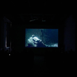 photo_2025-10-31_16-14-03 photo_2025-10-31_16-14-03