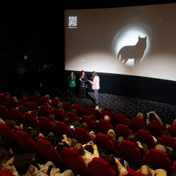 Зображення WhatsApp, дата_ 2025-11-25 о 12.14.19_c99df690 Зображення WhatsApp, дата_ 2025-11-25 о 12.14.19_c99df690